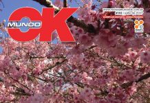 Revista Mundo OK 110