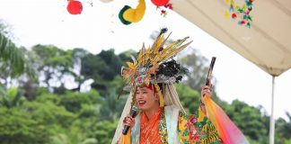 Festival Nipo Brasileiro