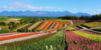 Golden Week deste ano terá recorde de viajantes