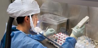 Cientistas do Japão criam vacina contra o vírus Nipah