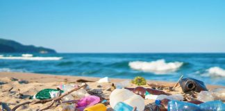 Japão inicia uma grande campanha nas praias contra a emissão de plástico no oceano