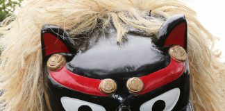 Cultura uchinanchu em alta no Okinawa Festival