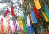 Tanabata Matsuri 2019