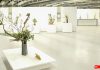 Ikebana 2019 – Reiwa – As flores da Nova Era
