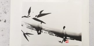 SESC Santo Amaro realiza oficinas com artes japonesas em Janeiro