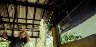 Fartura – Comidas do Brasil recebe prêmio no Japão pelo curta “O Mestre da Farinha”